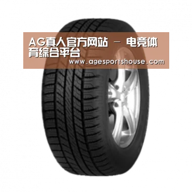 AG电子产品名称八